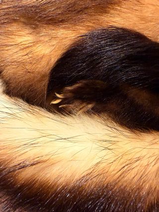 Gorro Ruso Auténtico Pelo Natural