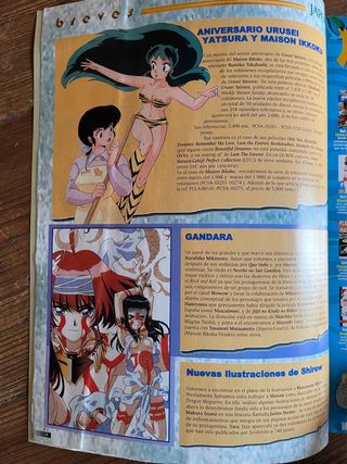 Lote revistas dokan manga