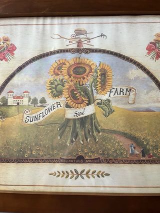 Par de cuadros decorativos de campo