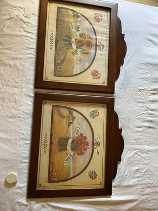 Par de cuadros decorativos de campo