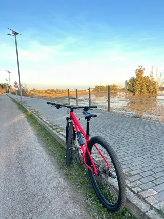 Bicicleta Specialized MTB Roja