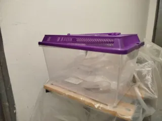 Pecera de plástico transparente con tapa morada