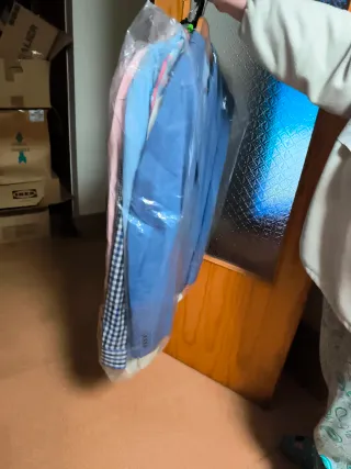 Lote camisas y americana