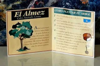 VHS Bambi Clásicos Disney Español Coleccionable