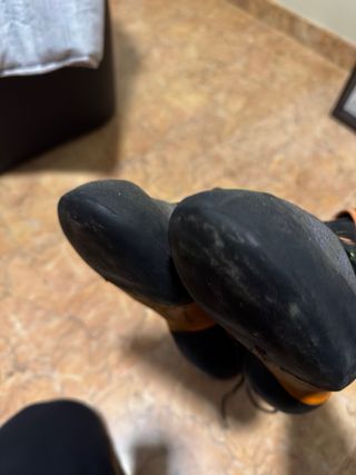 Pies de gato Boreal 42