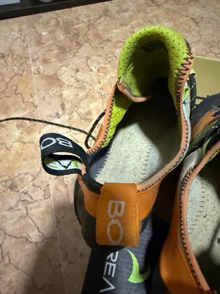 Pies de gato Boreal 42