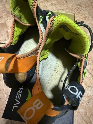 Pies de gato Boreal 42