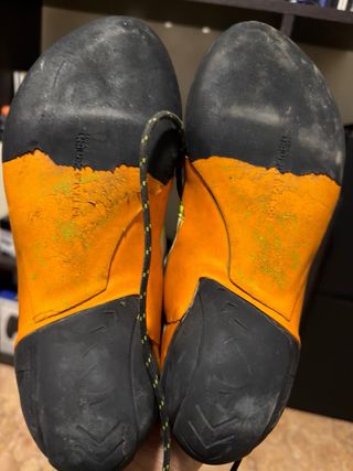 Pies de gato Boreal 42