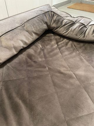 Cama para perro