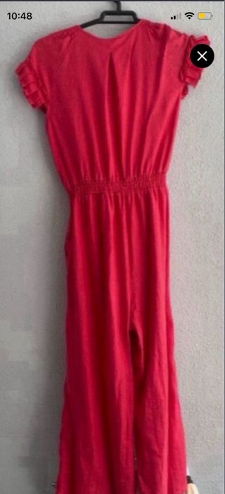 Mono Pedro del Hierro rojo