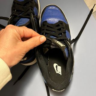 Zapatillas Nike Dunk Low Azul y Negro