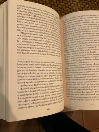 La reina descalza (Spanish Edition)