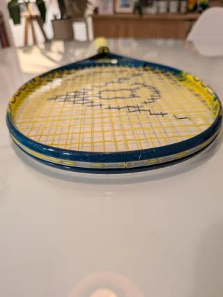 Raqueta Tenis Junior Dunlop Power 23 + Funda