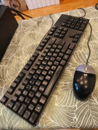 Computer Acer Veriton + Schermo