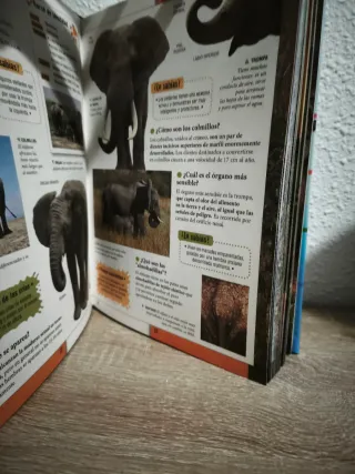 Porqué, cómo y donde de los animaes