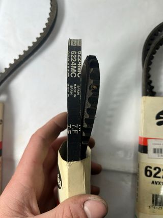 Correa Gates 6224MC AVX10 x 1100La