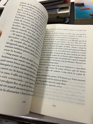 El curios incident del gos mitjanit