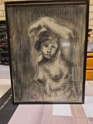 Láminas enmarcadas, acuarelas, pinturas al carbón