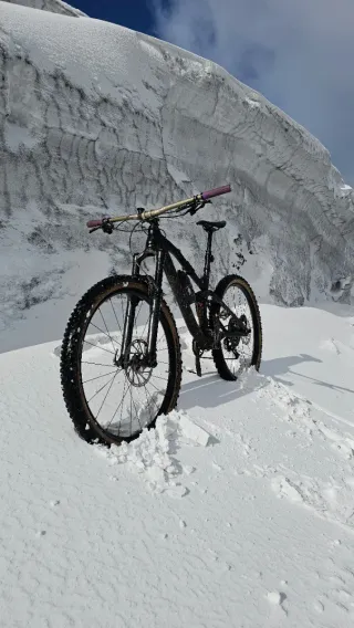 Canyon Spectral AL 29 Enduro