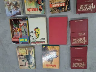 Lote libros varios infantiles novelas cuentos