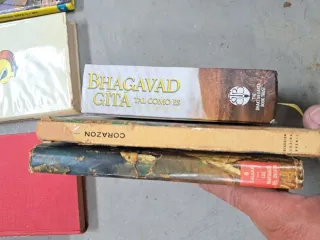 Lote libros varios infantiles novelas cuentos