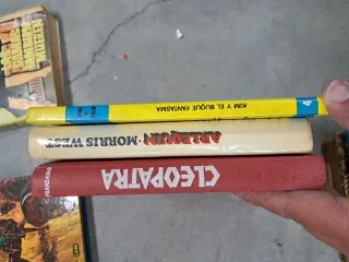 Lote libros varios infantiles novelas cuentos