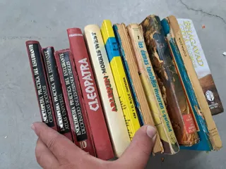 Lote libros varios infantiles novelas cuentos