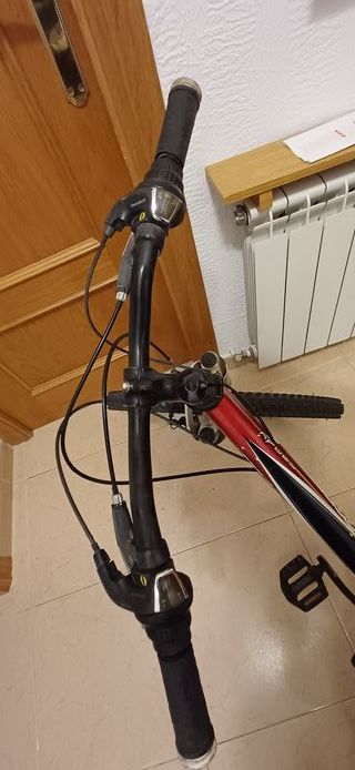 Bicicleta Coluer Randy 240