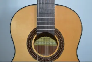 Guitarra Cadete 3/4 Martinez MCG-405