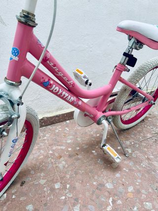 Bicicleta niña Ruedas 18''