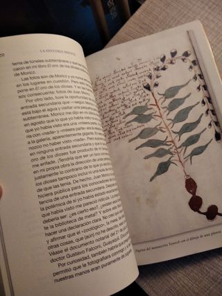 La historia miente: Pruebas que demuestran la existencia de otro pasado (Spanish Edition)