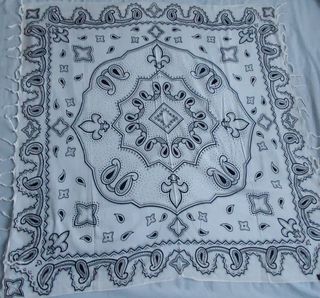 Pañuelo. Bandana estampado Paisley