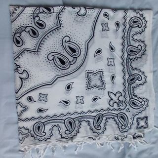 Pañuelo. Bandana estampado Paisley