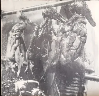 Vinilo Ramones Halfway to Sanity