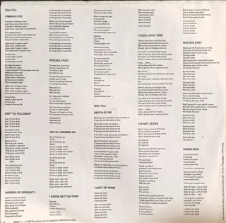 Vinilo Ramones Halfway to Sanity