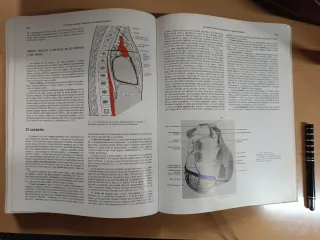 Tratado de anatomía Cunningham