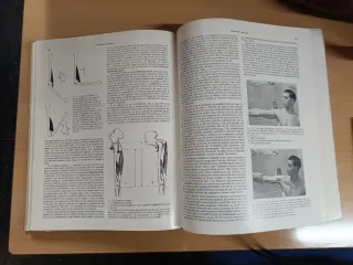 Tratado de anatomía Cunningham
