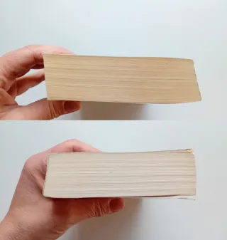 L'apprendista delle fiandre di Dorothy Dunnett