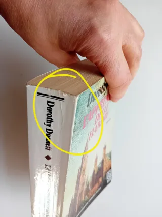 L'apprendista delle fiandre di Dorothy Dunnett