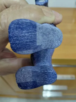 Jack Jones figura perro color Tejano.( fig.n°1).