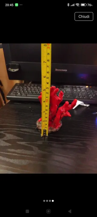 Ramo corallo ceramica vietrese