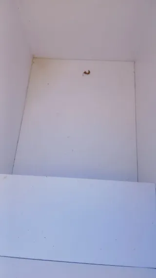 Congelador Kalise Azul