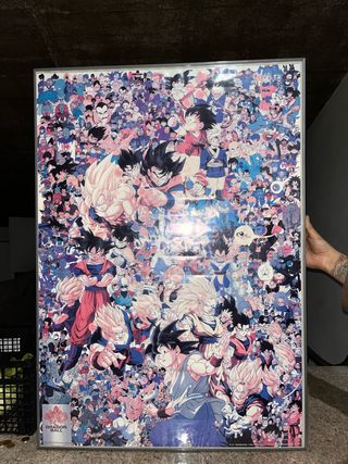 Cuadro Dragon Ball Z Personajes