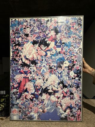 Cuadro Dragon Ball Z Personajes