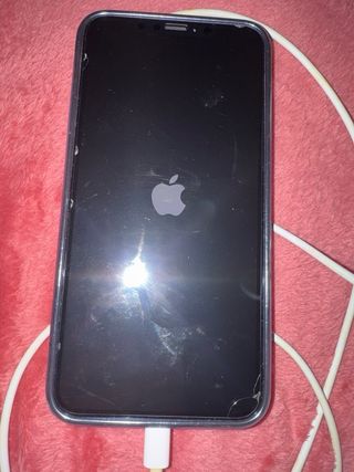 iPhone XS Max 256GB Libero 88% Batteria