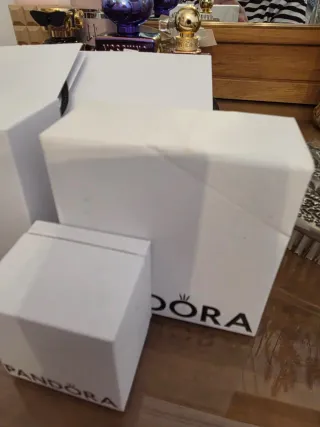 Bolsas y Cajas Pandora