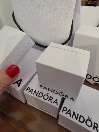 Bolsas y Cajas Pandora