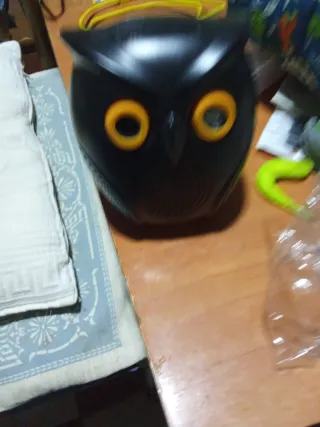 Cámara Inteligente Búho