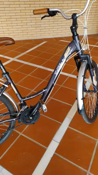 Bicicleta Urbana/paseo Wolfbike Serena
