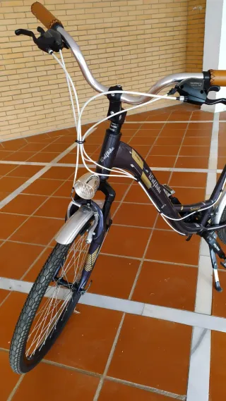 Bicicleta Urbana/paseo Wolfbike Serena